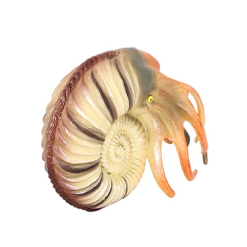 IMIKEYA Nautilus Modellspielzeug Realistisches Tiermodell Für Unterwasser Dekoration Und Lernspielzeug Simuliertes Nautilus Design Aquarien Und Bildungszwecke von IMIKEYA