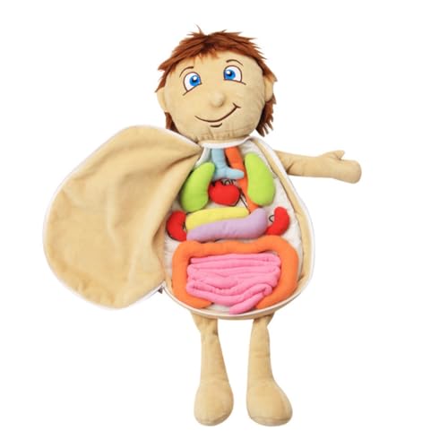 IMIKEYA Pädagogische Puzzlepuppe Für Menschliche Körperteile – Stofftier Für Jungen Mädchen Spielzeug Für Kinder Spielzeug Plüschorgan-lehrmittel von IMIKEYA