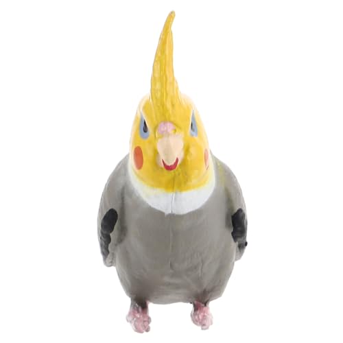 IMIKEYA Realistische Nymphensittich Vogelskulptur Für Heimdekoration Stehende Vogelfigur Aus Hochwertigem Material Detailreiche Nachbildung Eines Papageis Ornamente Für Innen IMIKEYA Realistische Nymphensittich Vogelskulptur Für Heimdekoration Stehende Vogelfigur Aus Hochwertigem Material Detailreiche Nachbildung Eines Papageis Ornamente Für Innen von IMIKEYA