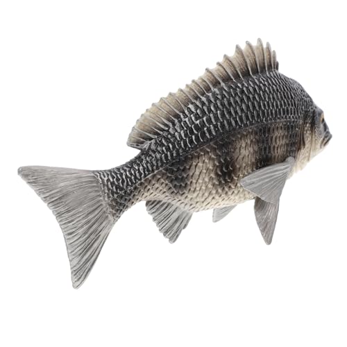 IMIKEYA Realistisches Fischmodell Für Simuliertes Tiermodell Für Tiere Zur Frühkindlichen Bildung Und Dekoration Für Kinderzimmer Und Lernspiele IMIKEYA Realistisches Fischmodell Für Simuliertes Tiermodell Für Tiere Zur Frühkindlichen Bildung Und Dekoration Für Kinderzimmer Und Lernspiele von IMIKEYA