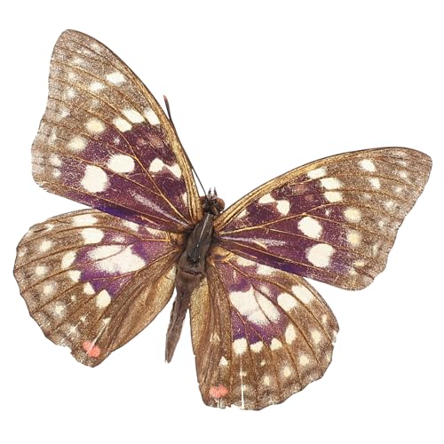 IMIKEYA Schmetterlings-Exemplar gerahmter Schmetterling Schmetterlingspräparate Schmetterlingspräparation Tiere aus Harz Schmetterlingsform kleine Schmetterlinge zum Basteln von IMIKEYA