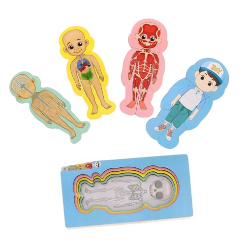 IMIKEYA Set Menschlicher Körper Struktur Puzzle Puzzles Organ Modelle Gehirn Menschlicher Körper Puzzle Für Holz IMIKEYA Set Menschlicher Körper Struktur Puzzle Puzzles Organ Modelle Gehirn Menschlicher Körper Puzzle Für Holz von IMIKEYA