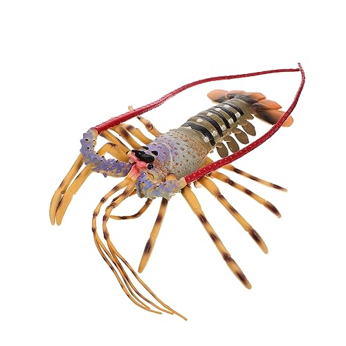 IMIKEYA Simulation Lobster Modell Lifelike Plastik Hummer Figurine Lernspielzeug für Vielseitig Einsetzbar Deko und Bildungsmodell von IMIKEYA