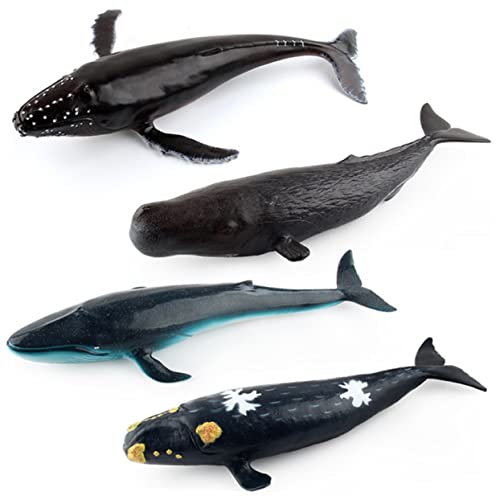 IMIKEYA Tier Modell Realistisches für Right Whale Lernspielzeug zur Frühkindlichen Bildung und Dekoration Hochwertiges und Baumwollmaterial Für Jungen von IMIKEYA