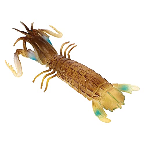 IMIKEYA Vivid Verschleißfester Mantis Shrimp Lernspielzeug Tragbares Sensory Lebensechte Tierfigur Geburtstagsgeschenk für Jungen und Mädchen Sicher und Langlebig IMIKEYA Vivid Verschleißfester Mantis Shrimp Lernspielzeug Tragbares Sensory Lebensechte Tierfigur Geburtstagsgeschenk für Jungen und Mädchen Sicher und Langlebig von IMIKEYA