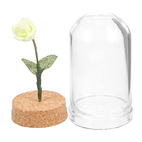 IMIKEYA konservierte Häuser Miniatur Figuren Feengarten Zubehör künstliche blüten Artificial Flower blumenarrangement Kunstblume Minirose in Glaskuppel in der Kuppel Harz IMIKEYA konservierte Häuser Miniatur Figuren Feengarten Zubehör künstliche blüten Artificial Flower blumenarrangement Kunstblume Minirose in Glaskuppel in der Kuppel Harz von IMIKEYA
