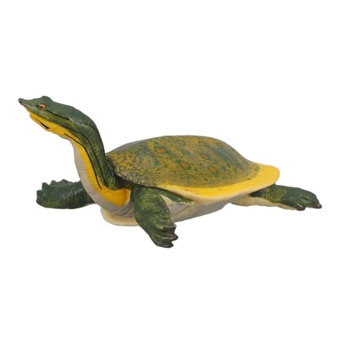 IMIKEYA -schildkrötenmodell Ornament Mini Winzig Figur Erwachsene Skulptur Küsten Klein Künstliches Schildkrötenmodell Modelltier Lebensechtes Simulationstiermodell Yellow Abs IMIKEYA -schildkrötenmodell Ornament Mini Winzig Figur Erwachsene Skulptur Küsten Klein Künstliches Schildkrötenmodell Modelltier Lebensechtes Simulationstiermodell Yellow Abs von IMIKEYA