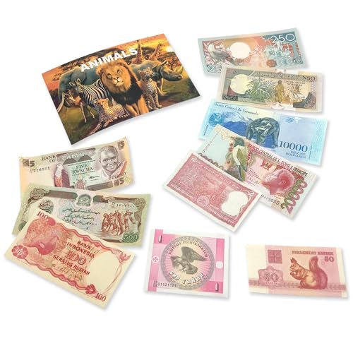 IMPACTO COLECCIONABLES 20 Tierbanknoten aus Aller Welt - Banknoten Weltwährungs Sammlung - Altes Geld mit Echtheitszertifikat - Geld Scheine für Sammler & wissbegierige Kinder - Geldschein Kollektion von IMPACTO COLECCIONABLES