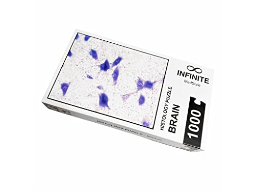 Histology Puzzle Infinite - Brain Histology Puzzle Infinite - Brain von INFINITE MedStyle