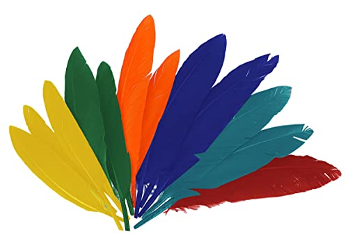 INNSPIRO Indische Federn Mix Farben ca. 25 mm x 140 mm, 60 U, Multi, 97330 INNSPIRO Indische Federn Mix Farben ca. 25 mm x 140 mm, 60 U, Multi, 97330 von INNSPIRO