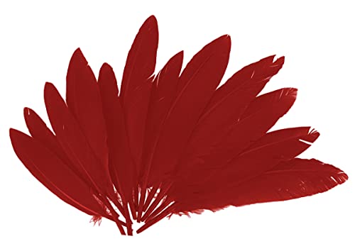 INNSPIRO 97335 - Indische Federn rot ca. 25 x 140 m, 60U von INNSPIRO