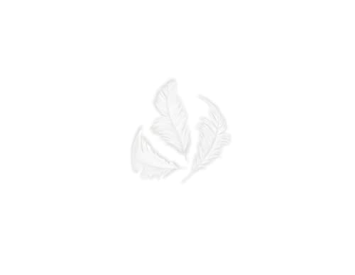 INNSPIRO Weiße Daune, 75 mm, 14 g. INNSPIRO Weiße Daune, 75 mm, 14 g. von INNSPIRO