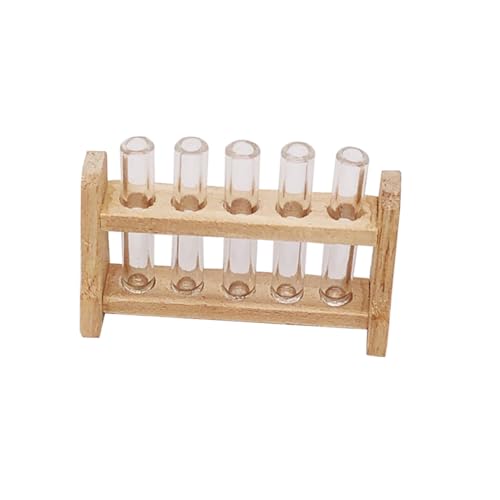INOOMP 1 Satz De Science Home Landscape Decor Kunststoffaufbewahrung Holzdekorationsrohr para Tubes Werkzeug Experimente Handwerk Mini Ausrüstung Salas House Decoraciones Miniatur von INOOMP