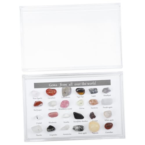 INOOMP 1 Schachtel Teiliges Naturkristall Mineralsteine Unregelmäßige Form Bunte Deko Sammlung für Wohnzimmer Büro Vielseitige Edelstein Ornamente Geschenkidee von INOOMP