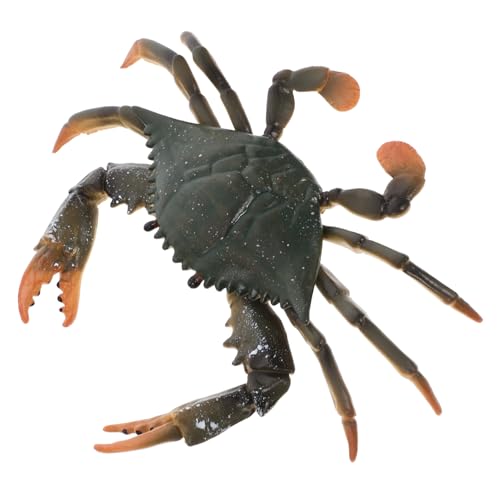 INOOMP 1 Stück Simulation Krabbenmodell für Pädagogisches zur Kognitiver Fähigkeiten Realistische Tierdarstellung für Kreatives und Lernen von INOOMP