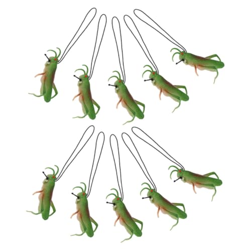 INOOMP 10 Stücke Realistische Heuschrecken Spielzeug für Kinder Wissenschaftliches Tierspielzeug Dekoration für Partys Wiederverwendbare Tierfiguren Interaktives Lernspielzeug von INOOMP