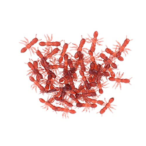 INOOMP 100 Stück Simulierte Ameisenspielzeug Dekoration realistische Ameise beliebig Halloween Kleidung Halloween Costumes Halloween-Streichspielzeug gefälschte Ameisen aus Plastik Brown INOOMP 100 Stück Simulierte Ameisenspielzeug Dekoration realistische Ameise beliebig Halloween Kleidung Halloween Costumes Halloween-Streichspielzeug gefälschte Ameisen aus Plastik Brown von INOOMP