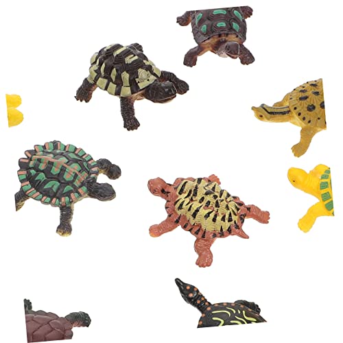 INOOMP 12Stücke Schildkröten Modell Realistische Simulation von Meerestieren für Aquarium Dekoration Pädagogisches für Umweltbewusstsein und Kreativität INOOMP 12Stücke Schildkröten Modell Realistische Simulation von Meerestieren für Aquarium Dekoration Pädagogisches für Umweltbewusstsein und Kreativität von INOOMP