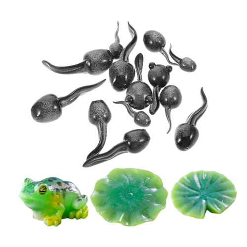 INOOMP 16stücke Mini Frosch Figuren Aus Harz Dekorative Garten Ornamente Für Feengärten Terrarien Und Mooslandschaften Kreative DIY Dekorationen Für Innen Und Außenbereiche von INOOMP