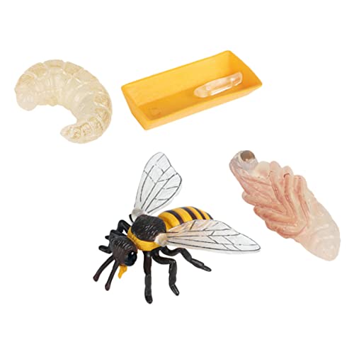 INOOMP 1Satz Bienenwachstumszyklus Modell Teiliges Lernspielzeug für Realistische Figuren Kognitiven Fähigkeiten und Naturverständnis für Dekoration INOOMP 1Satz Bienenwachstumszyklus Modell Teiliges Lernspielzeug für Realistische Figuren Kognitiven Fähigkeiten und Naturverständnis für Dekoration von INOOMP