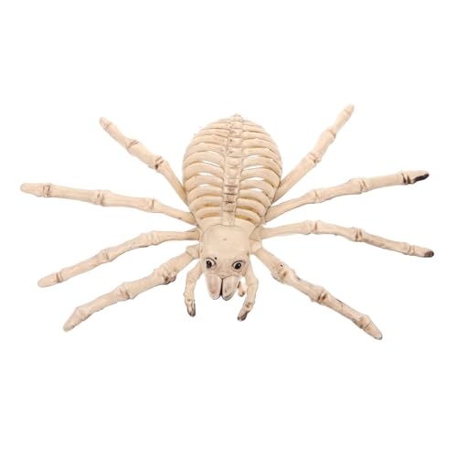 INOOMP 1Stück Gruselige Halloween Dekoration Skelett mit Knochenspinne Realistische Spinnenskelette für Partys Innen und Außendekoration Beige mit Zufälliger Augenfarbe von INOOMP