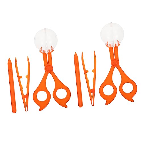 INOOMP 2 Sätze Insektenfänger für Teiliges Outdoor Kit mit Clips für Naturbeobachtungen Experimente und Sanftes von Insekten Sicher und Praktisch für Junge von INOOMP