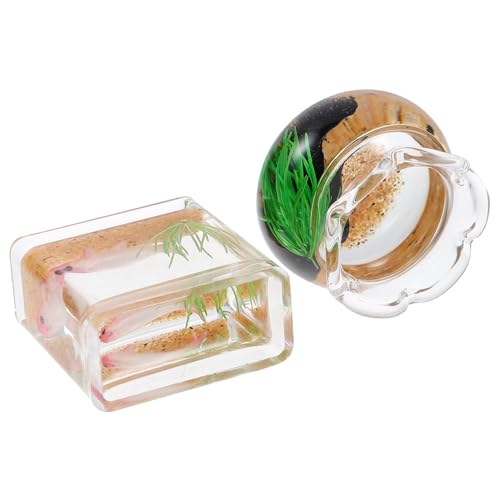 INOOMP 2 Stück Fischglas-Minivers Present for Minihäuser Dekoration Zubehör für Aquarien Miniatur-Aquarium Puppenhaus Mini Fisch Aussehen Tank Mini-Puppenhaus Mini Fischglas von INOOMP
