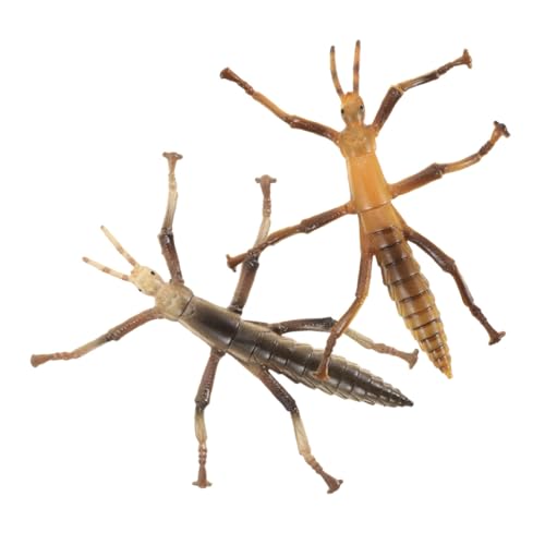 INOOMP 2 Stück Insektenmodell Realistische Bildungsfiguren für Naturerkennung Dekorative Tischobjekte aus Robustem für Lernzwecke von INOOMP
