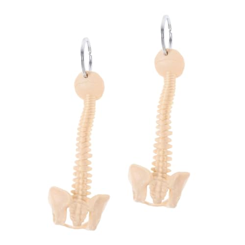 INOOMP 2Stücke Anatomischer Wirbelsäulen Schlüsselanhänger Realistische Menschliche Wirbelsäule Hängende Dekoration für Enthusiasten Langlebiges Design für Medizinisches von INOOMP