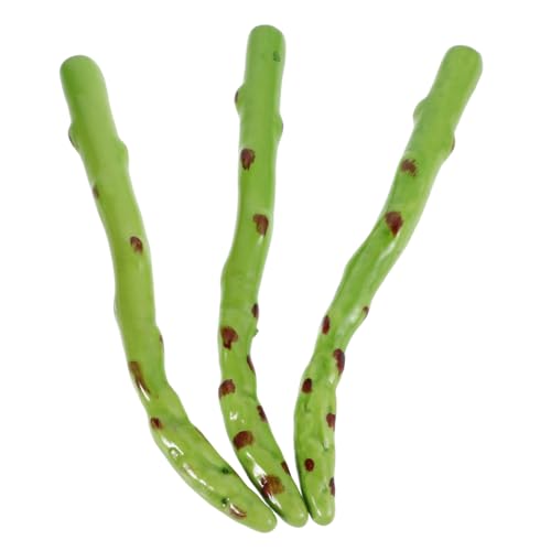 INOOMP 3 Stücke Grüner Spargel Modell Küche Decor Gemüse Handwerk Synthetische Spargel Schaum von INOOMP