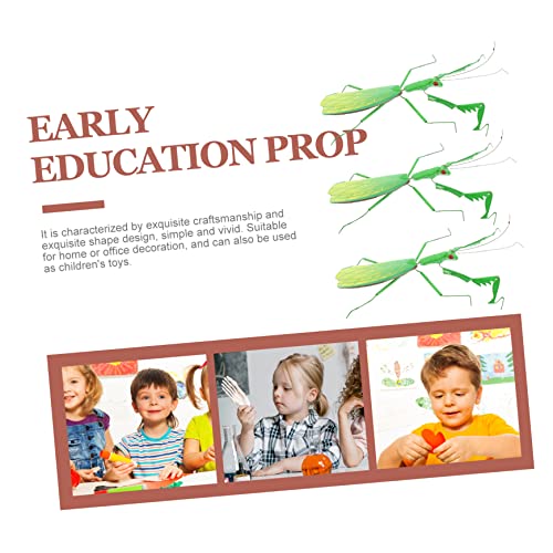 INOOMP 4 Stück Teiliges Realistische Mantis Dekofiguren Lebensechte Insektenmodelle zur Pflanzentopfdekoration Leicht Detailgetreu als Fotorequisite für Kinderzimmer INOOMP 4 Stück Teiliges Realistische Mantis Dekofiguren Lebensechte Insektenmodelle zur Pflanzentopfdekoration Leicht Detailgetreu als Fotorequisite für Kinderzimmer von INOOMP