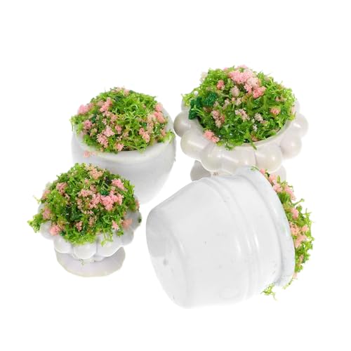 INOOMP 4Stücke Miniatur Pflanzenmodell Künstliche Landschaftsdekoration für Kreative DIY Projekte Langlebig und Realistisch für und Tischlayouts INOOMP 4Stücke Miniatur Pflanzenmodell Künstliche Landschaftsdekoration für Kreative DIY Projekte Langlebig und Realistisch für und Tischlayouts von INOOMP