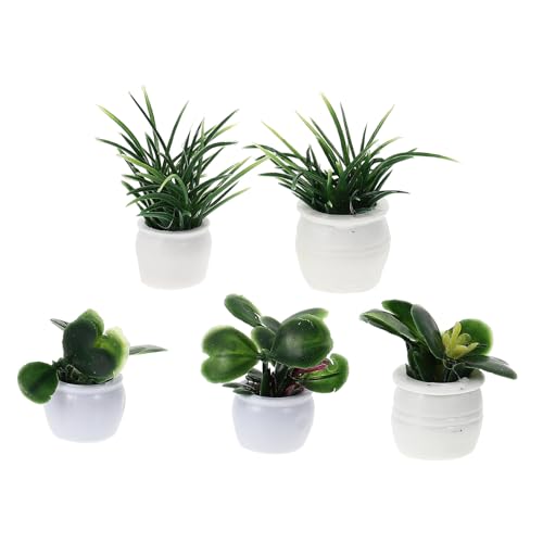 INOOMP 5 Stück Mini-Pflanzenmodell Miniatur Moos Blumendekorationen Puppenhaus Miniaturen Feenfiguren Miniatur Bonsai Miniaturdekoration Mini-Gartenzubehör Bonsai-Handwerk Plastik von INOOMP