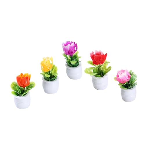 INOOMP 5Stücke Bonsai Pflanzen Teiliges Modell für Puppenhäuser und Miniaturgärten Realistische Dekoration für Traumhafte Miniaturwelt Einfach zu Handhaben INOOMP 5Stücke Bonsai Pflanzen Teiliges Modell für Puppenhäuser und Miniaturgärten Realistische Dekoration für Traumhafte Miniaturwelt Einfach zu Handhaben von INOOMP