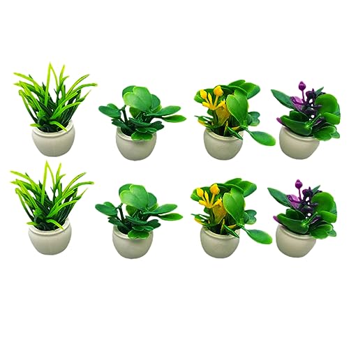 INOOMP 8 Stück Mini-Pflanzenmodell Töpfe drinnen Mini-Fake-Pflanzen Mini-Topfpflanzen Miniaturpflanzen Miniatur-Topfblumenmodell Miniaturhausdekor Mini-Topfblume Miniaturdekor Plastik INOOMP 8 Stück Mini-Pflanzenmodell Töpfe drinnen Mini-Fake-Pflanzen Mini-Topfpflanzen Miniaturpflanzen Miniatur-Topfblumenmodell Miniaturhausdekor Mini-Topfblume Miniaturdekor Plastik von INOOMP