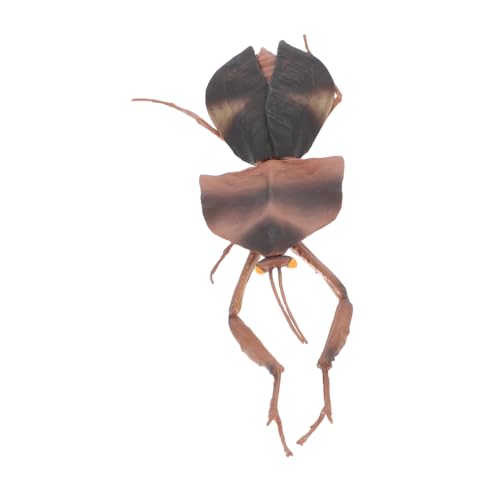 INOOMP Gottesanbeterin-Modell Tiermodelle Simulation Gottesanbeterin Ornament Mantis- Tote Blattgottesanbeterin Mantis-Modell Gefälschte Fehler Dark Brown PVC von INOOMP