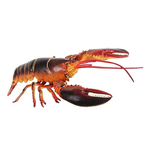INOOMP Hummer Modell Pädagogische Tiermodelle Gefälschter Hummer Realistisches Hummer Hummer Hummer Figur Hummer Figuren Simulations Hummer Schmuck Hummer Kunststoff INOOMP Hummer Modell Pädagogische Tiermodelle Gefälschter Hummer Realistisches Hummer Hummer Hummer Figur Hummer Figuren Simulations Hummer Schmuck Hummer Kunststoff von INOOMP
