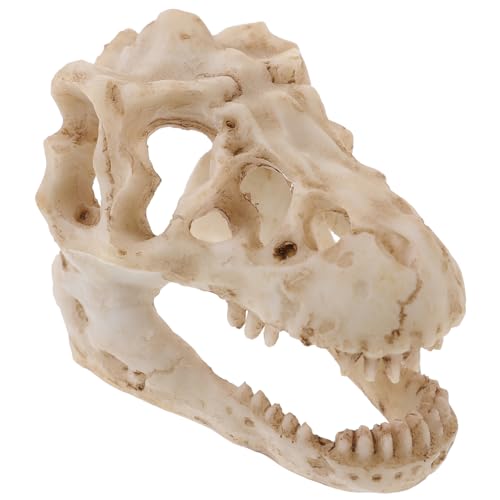 INOOMP Lifelike Resin Dinosaurier Schädel Modell Kompakte Dekoration für Büro Terrarium Zubehör und Regal Exquisites Dinosaurierkopf Ornament Perfektes für Sammler und Dino Fans von INOOMP