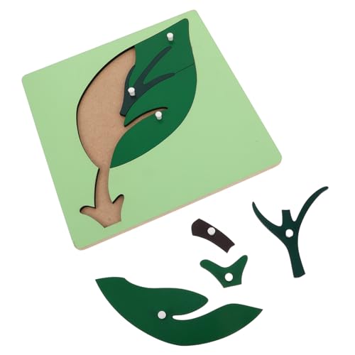 INOOMP Montessori Lehrmittel Vorschule Bildungsspielzeug Montessori-Aktivitätstafel Montessori sensorisches Lernspielzeug für Kleinkinder Montessori-Baum hölzern Grün INOOMP Montessori Lehrmittel Vorschule Bildungsspielzeug Montessori-Aktivitätstafel Montessori sensorisches Lernspielzeug für Kleinkinder Montessori-Baum hölzern Grün von INOOMP