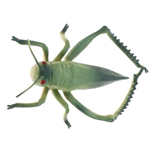 INOOMP Ornamente Plastikkäfer Insekten Lernspielzeug Streich Reptilienspielzeug Für Zikadenspielzeug Gefälschte Requisiten Gefälschte Grillen Miniaturtiere Gefälschte PVC INOOMP Ornamente Plastikkäfer Insekten Lernspielzeug Streich Reptilienspielzeug Für Zikadenspielzeug Gefälschte Requisiten Gefälschte Grillen Miniaturtiere Gefälschte PVC von INOOMP