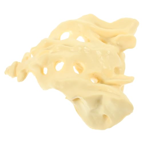 INOOMP Praktisches Menschliches Sakrum modell aus Robustem PVC für Medizinische Ausbildung und Anatomieunterricht Tragbares Unzerbrechliches Becken knochenmodell für Gesundheitsberufe von INOOMP