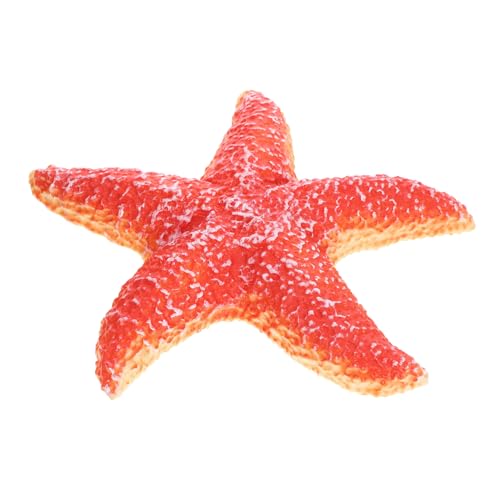 INOOMP Realistische Seestern Figur aus Hochwertigem Deko Element für Kinderzimmer und Aquarien Lehrreiches Modell für Seetier Studien Langlebig und Leicht INOOMP Realistische Seestern Figur aus Hochwertigem Deko Element für Kinderzimmer und Aquarien Lehrreiches Modell für Seetier Studien Langlebig und Leicht von INOOMP