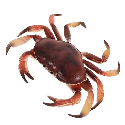 INOOMP Simulation Realistisches Krabbenmodell Lebensnahes für Dekoration Lernspielzeug aus Strapazierfähigem Kunststoff für Kinderzimmer und Kreative Gestaltung von INOOMP