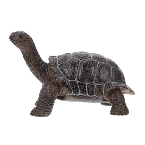 INOOMP Simulation Schildkröte Modell aus Kunststoff Tierfigur für Realistische Schildkröten Deko Langlebiges Tiermodell für Kreatives und Lernen INOOMP Simulation Schildkröte Modell aus Kunststoff Tierfigur für Realistische Schildkröten Deko Langlebiges Tiermodell für Kreatives und Lernen von INOOMP