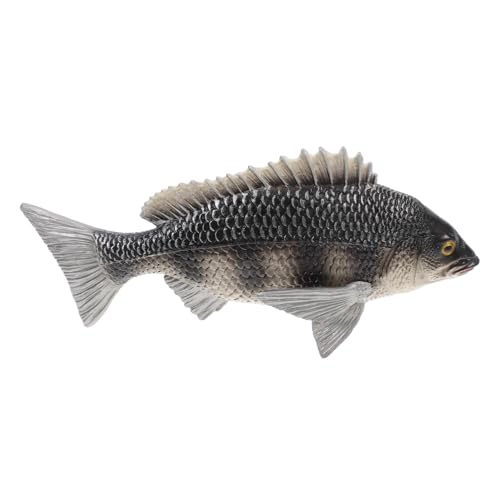 INOOMP Simuliertes Tiermodell Realistisches Bream für Hochwertiges Kinderspielzeug Kognitiven Fähigkeiten für Zuhause Schule Freien von INOOMP