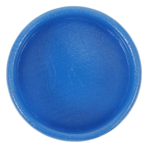 INOOMP Strand Accessoires für Puppenhaus und Zen Garten Tragbar für DIY Strandparty Szenen und Sandtisch Dekorationen Blau von INOOMP