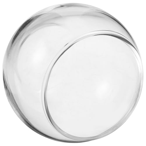 INOOMP Transparenter Mini Fischglas Glas Aquarium Schale für Puppenhaus Dekoration Kleine Runde Vase Mini Terrarium für Blumenarrangements und Aquatische Deko von INOOMP