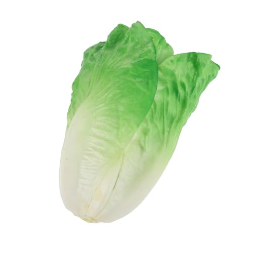 INOOMP künstlicher Salat gefälschtes realistisches Gemüse Fotografie -Requisite Simulationsgemüse Küchenrequisite falsches Gemüse pflanzliches Modell künstlicher PVC INOOMP künstlicher Salat gefälschtes realistisches Gemüse Fotografie -Requisite Simulationsgemüse Küchenrequisite falsches Gemüse pflanzliches Modell künstlicher PVC von INOOMP