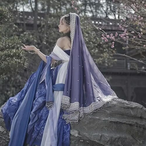 Arabische Prinzessinnenkostüme für Damen, indisches Tanzkleid, Stickerei, Kostüm, Hanfu, Blau, Party, Cosplay, Fancy Outfit von INSTR