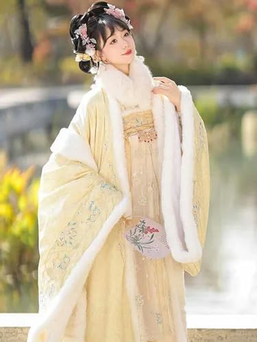 INSTR Chinesische traditionelle Stickerei Hanfu für Damen, Feen-Cosplay-Kostüm, warm, dicker, lila, blau, gelb, Hanfu von INSTR